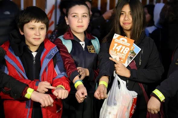 iniciativa camino seguro