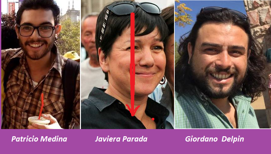 collage con bajada de Javiera Parada